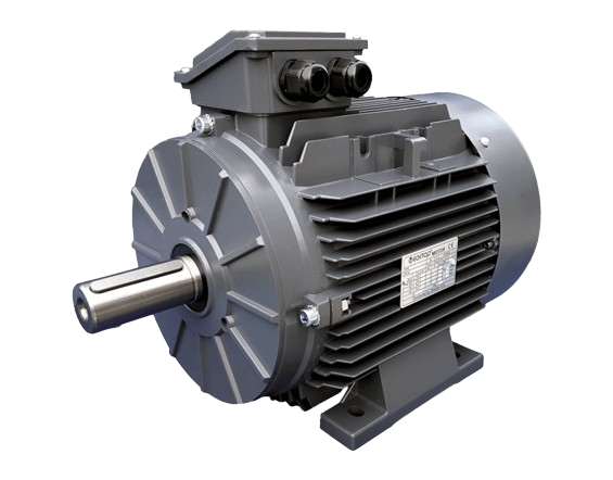 Induction Motor